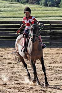 Arena polo practice