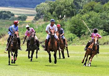 playing polo