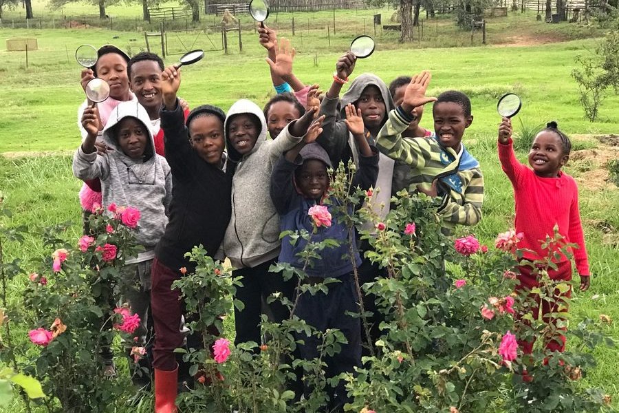 Scholars in the rose garden