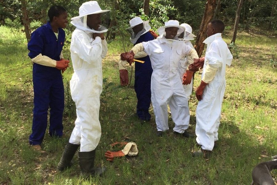 Scholars in beekeeping suits
