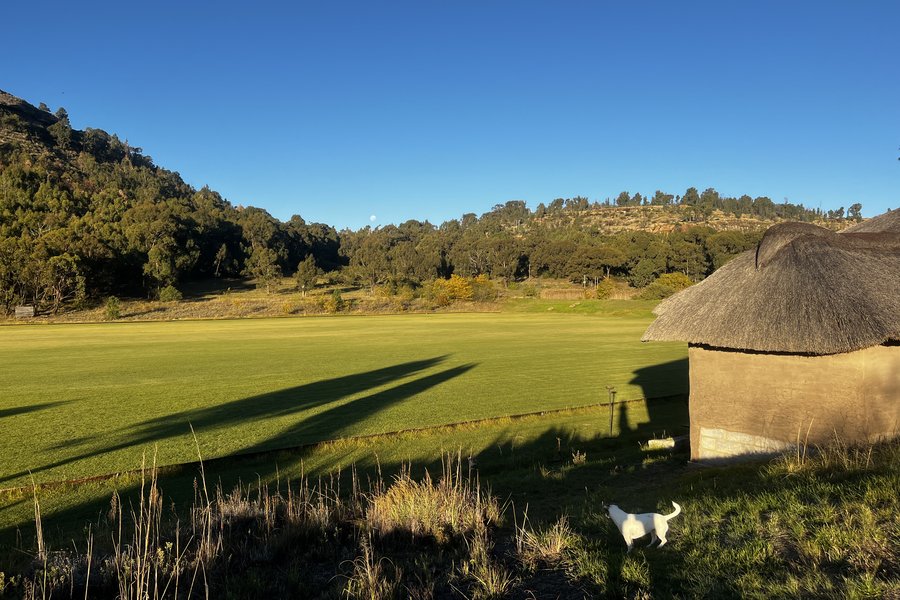 The polo field at evening